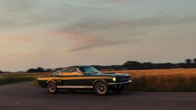 1966 Shelby GT350 Fastback