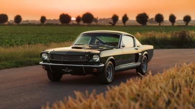 1966 Shelby GT350 Fastback