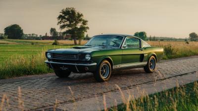 1966 Shelby GT350 Fastback