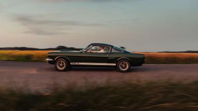 1966 Shelby GT350 Fastback