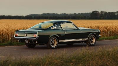 1966 Shelby GT350 Fastback