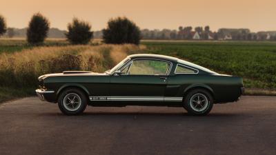 1966 Shelby GT350 Fastback