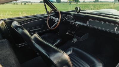 1966 Shelby GT350 Fastback