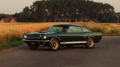 1966 Shelby GT350 Fastback