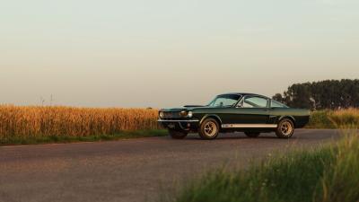 1966 Shelby GT350 Fastback