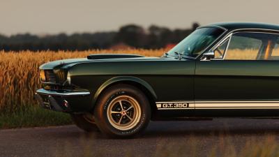 1966 Shelby GT350 Fastback