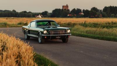 1966 Shelby GT350 Fastback