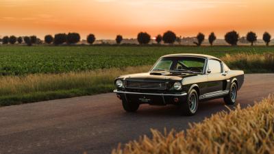 1966 Shelby GT350 Fastback