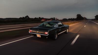 1966 Shelby GT350 Fastback