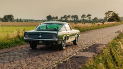 1966 Shelby GT350 Fastback