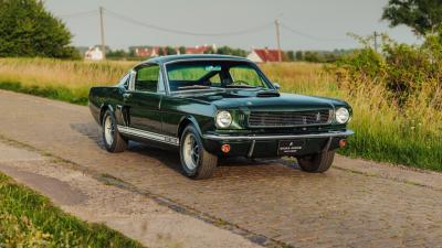 1966 Shelby GT350 Fastback