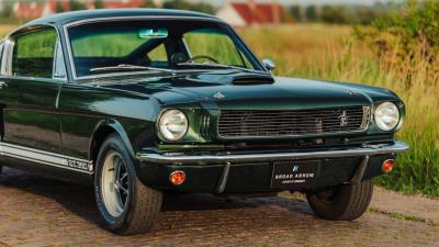1966 Shelby GT350 Fastback