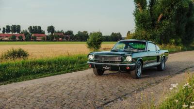 1966 Shelby GT350 Fastback