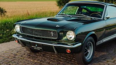 1966 Shelby GT350 Fastback