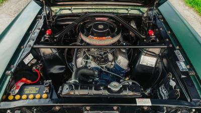 1966 Shelby GT350 Fastback
