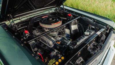 1966 Shelby GT350 Fastback