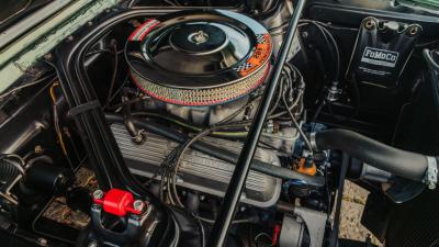 1966 Shelby GT350 Fastback