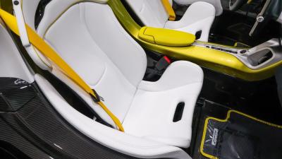 2021 Mclaren Elva