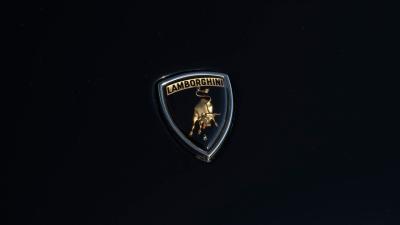 1984 Lamborghini Countach 5000 S