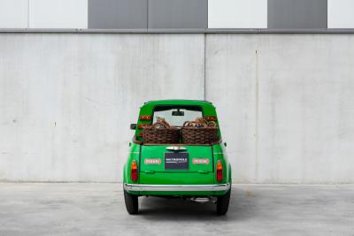 1969 Bianchi Auto BIANCHINA Pick-up