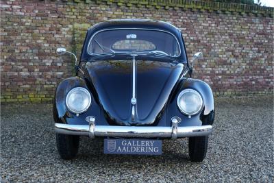1955 Volkswagen Beetle Oval-Window &ldquo;Restored to its original purity&rdquo;