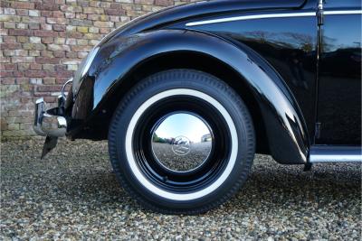 1955 Volkswagen Beetle Oval-Window &ldquo;Restored to its original purity&rdquo;