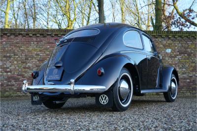 1955 Volkswagen Beetle Oval-Window &ldquo;Restored to its original purity&rdquo;