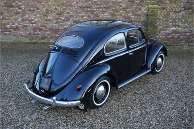 1955 Volkswagen Beetle Oval-Window &ldquo;Restored to its original purity&rdquo;