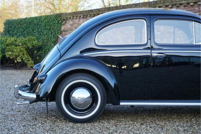 1955 Volkswagen Beetle Oval-Window &ldquo;Restored to its original purity&rdquo;
