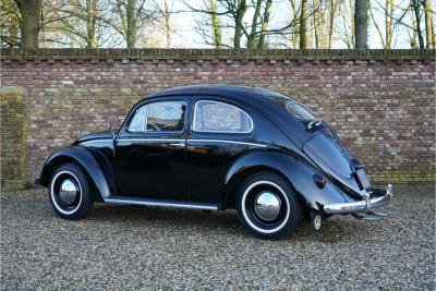 1955 Volkswagen Beetle Oval-Window &ldquo;Restored to its original purity&rdquo;