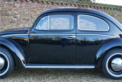 1955 Volkswagen Beetle Oval-Window &ldquo;Restored to its original purity&rdquo;