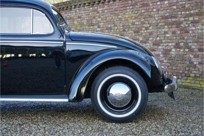1955 Volkswagen Beetle Oval-Window &ldquo;Restored to its original purity&rdquo;