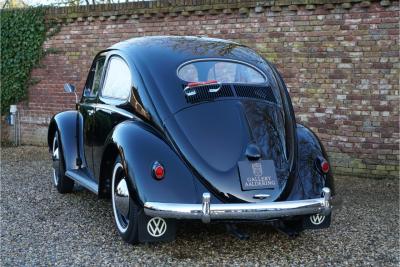 1955 Volkswagen Beetle Oval-Window &ldquo;Restored to its original purity&rdquo;