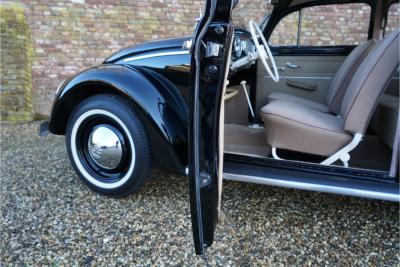 1955 Volkswagen Beetle Oval-Window &ldquo;Restored to its original purity&rdquo;