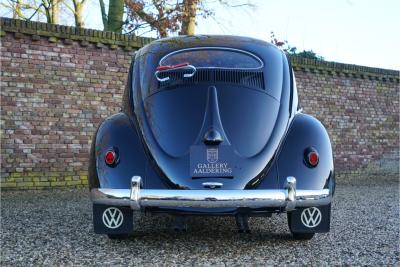 1955 Volkswagen Beetle Oval-Window &ldquo;Restored to its original purity&rdquo;