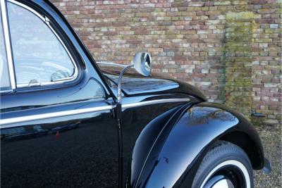 1955 Volkswagen Beetle Oval-Window &ldquo;Restored to its original purity&rdquo;