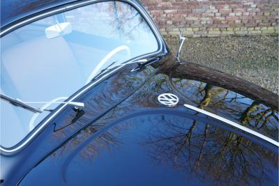 1955 Volkswagen Beetle Oval-Window &ldquo;Restored to its original purity&rdquo;