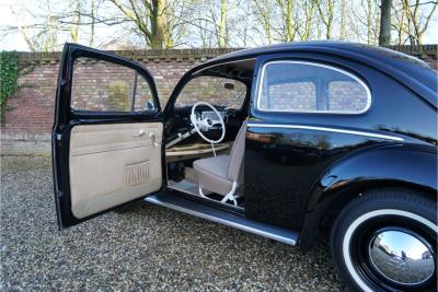 1955 Volkswagen Beetle Oval-Window &ldquo;Restored to its original purity&rdquo;