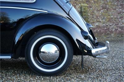 1955 Volkswagen Beetle Oval-Window &ldquo;Restored to its original purity&rdquo;