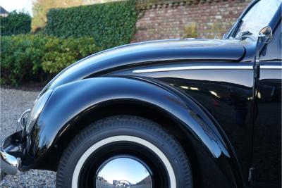 1955 Volkswagen Beetle Oval-Window &ldquo;Restored to its original purity&rdquo;