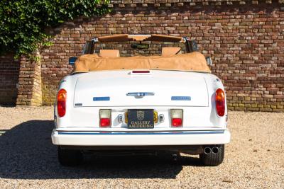 1994 Bentley Continental IV Convertible &ldquo;The last real Convertible&rdquo;