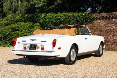 1994 Bentley Continental IV Convertible &ldquo;The last real Convertible&rdquo;