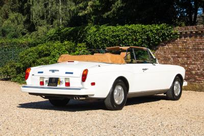 1994 Bentley Continental IV Convertible &ldquo;The last real Convertible&rdquo;