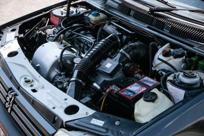 1989 Peugeot 205 GTi 1.9