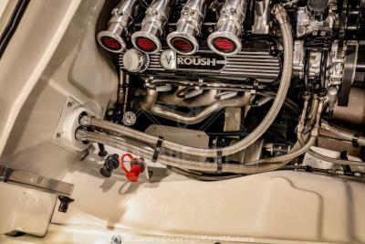 1955 Ford F100
