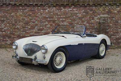 1954 Austin - Healey to 100M Specs &ldquo;Listed in 100M Le Mans Registry&rdquo;