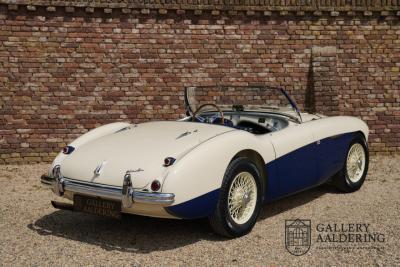 1954 Austin - Healey to 100M Specs &ldquo;Listed in 100M Le Mans Registry&rdquo;