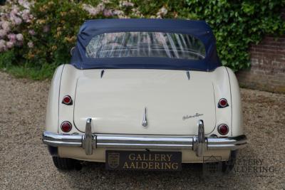 1954 Austin - Healey to 100M Specs &ldquo;Listed in 100M Le Mans Registry&rdquo;