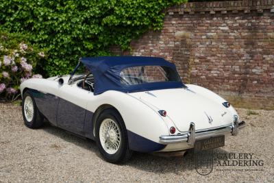 1954 Austin - Healey to 100M Specs &ldquo;Listed in 100M Le Mans Registry&rdquo;