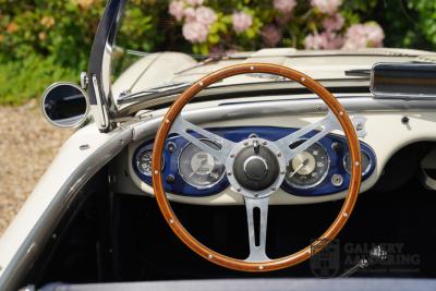1954 Austin - Healey to 100M Specs &ldquo;Listed in 100M Le Mans Registry&rdquo;